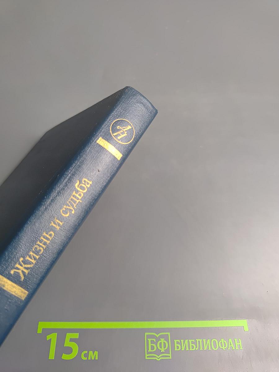 Жизнь и судьба, Том второй