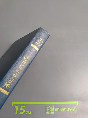 Жизнь и судьба, Том второй