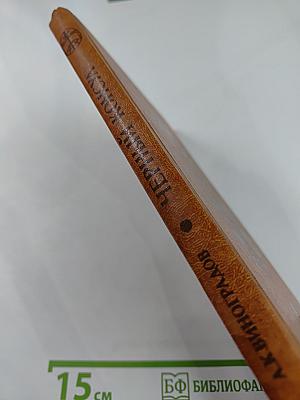 Черный консул