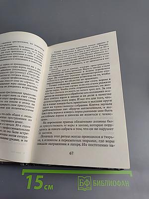 Преступный мир России