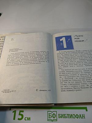 К Созвездиям