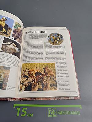 Большая иллюстрированная энциклопедия. Том 8: гоф-дер