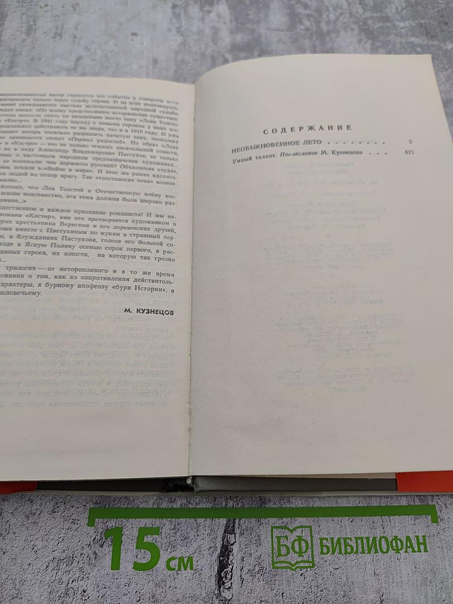 Необыкновенное лето