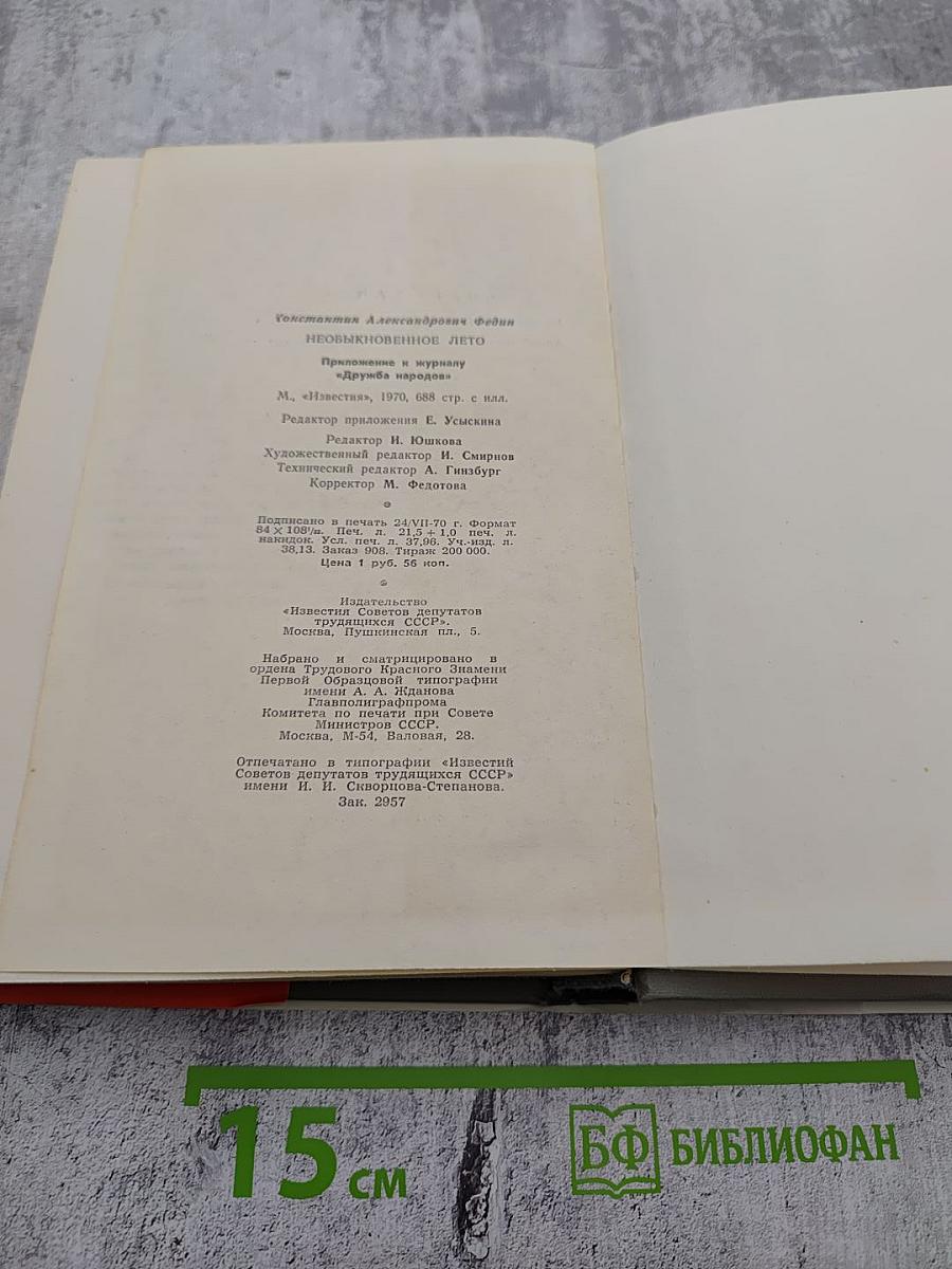 Необыкновенное лето