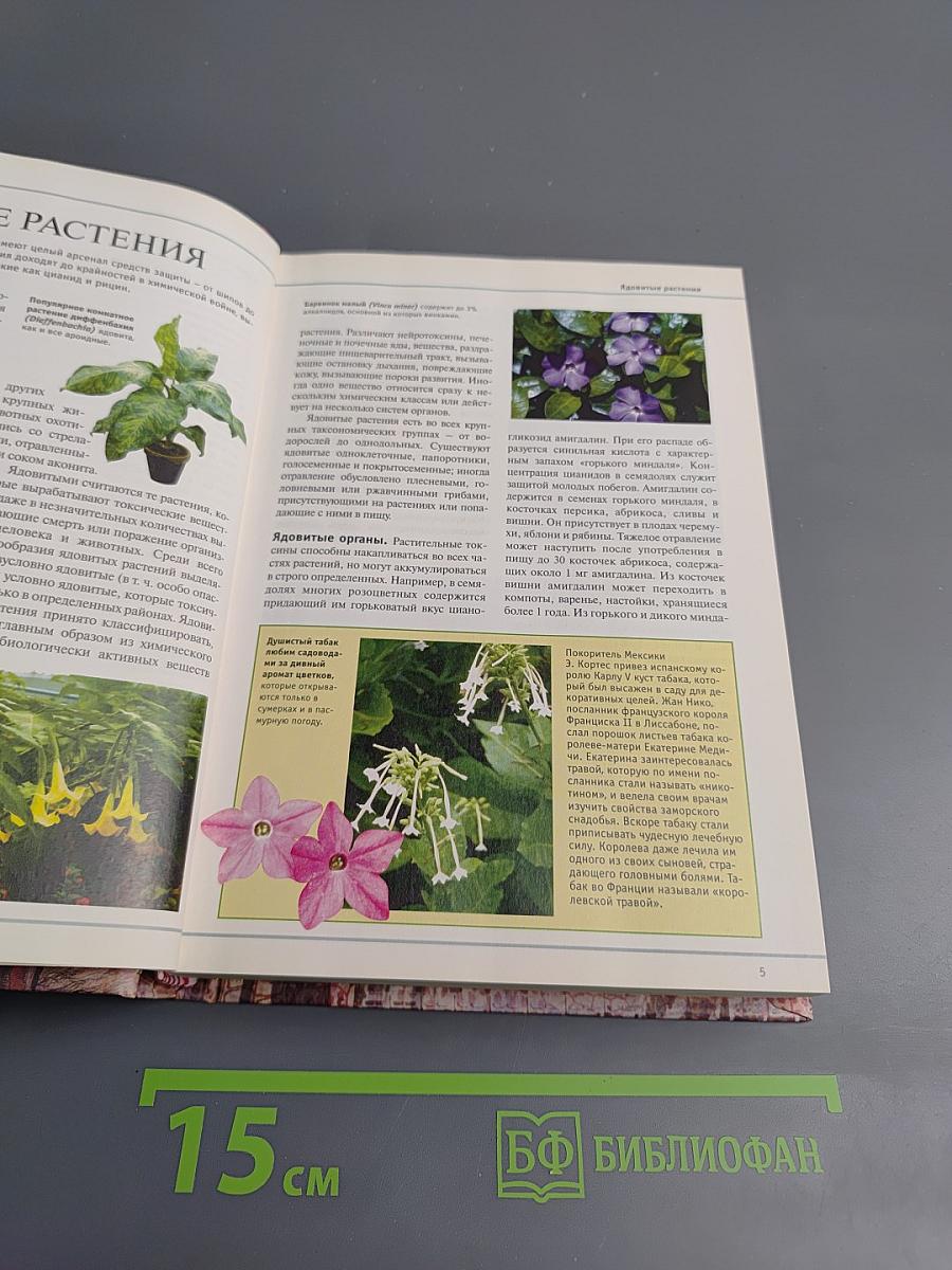 Большая иллюстрированная энциклопедия. Том 32. Ядр - Ящу