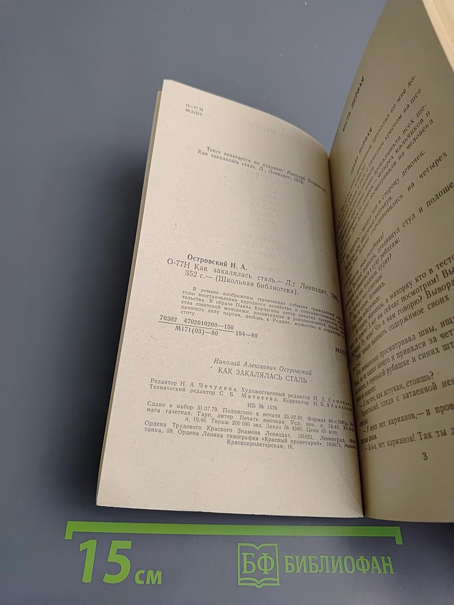 Как закалялась сталь