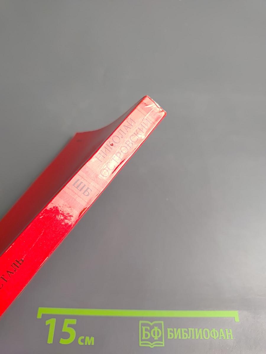 Как закалялась сталь