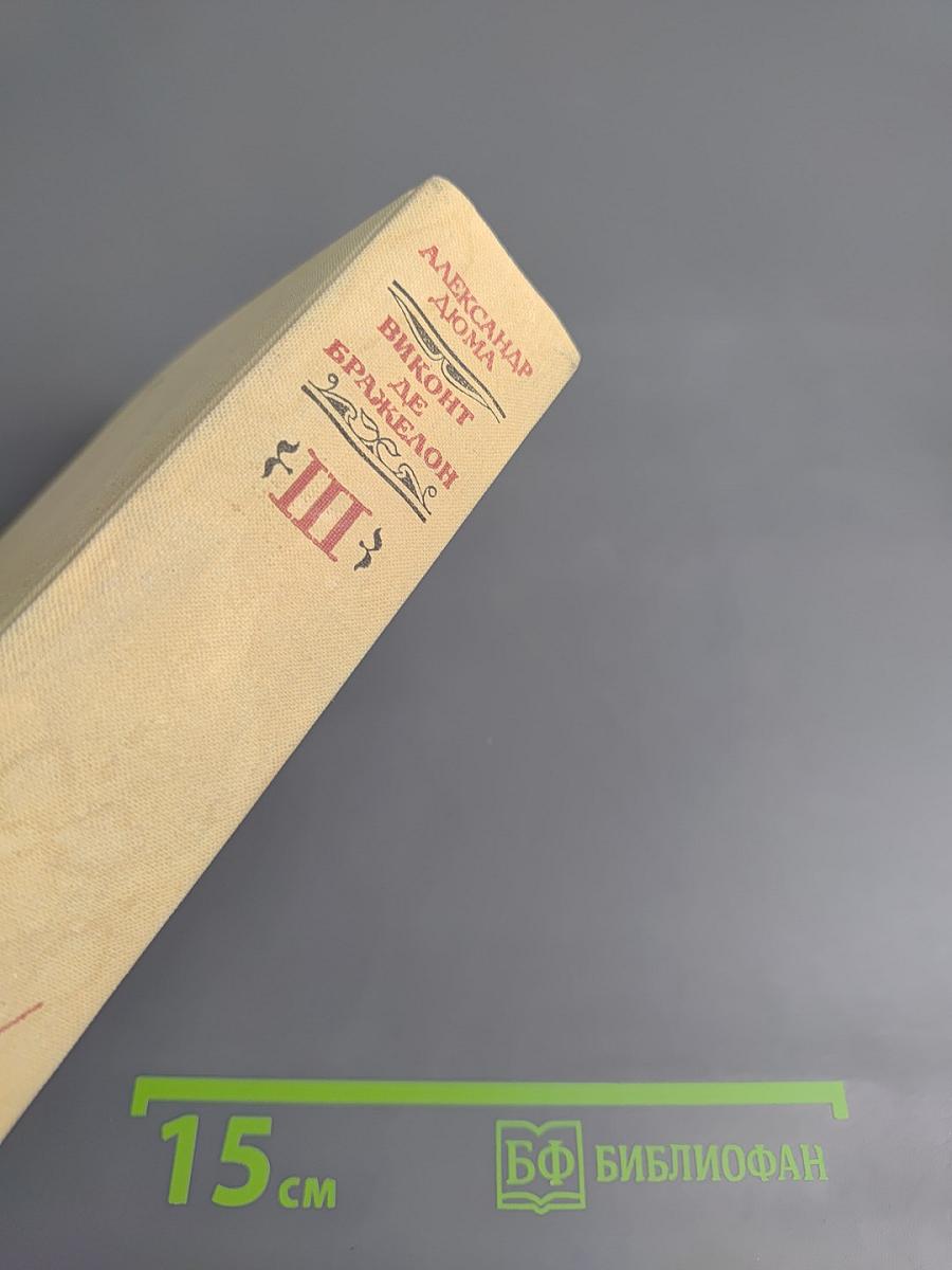 Виконт де Бражелон или Десять лет спустя. Части 5, 6 (Том III)