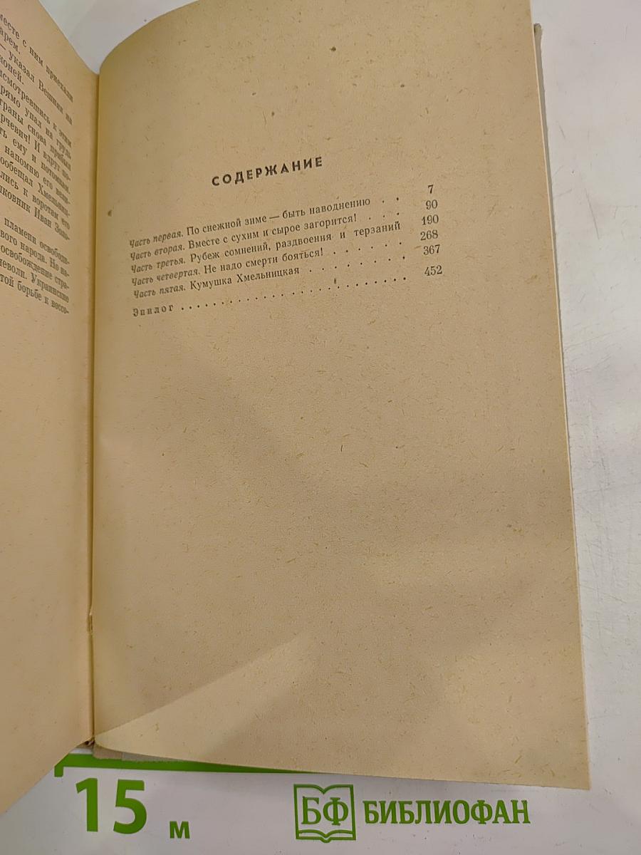 Хмельницкий. Книга третья