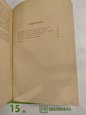 Хмельницкий. Книга третья