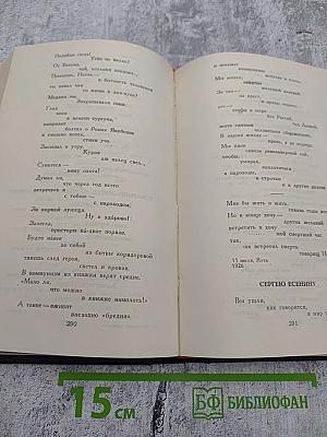 К ОГНЮ ВСЕЛЕНСКОМУ. Русская советская поэзия 1920-1930 годов