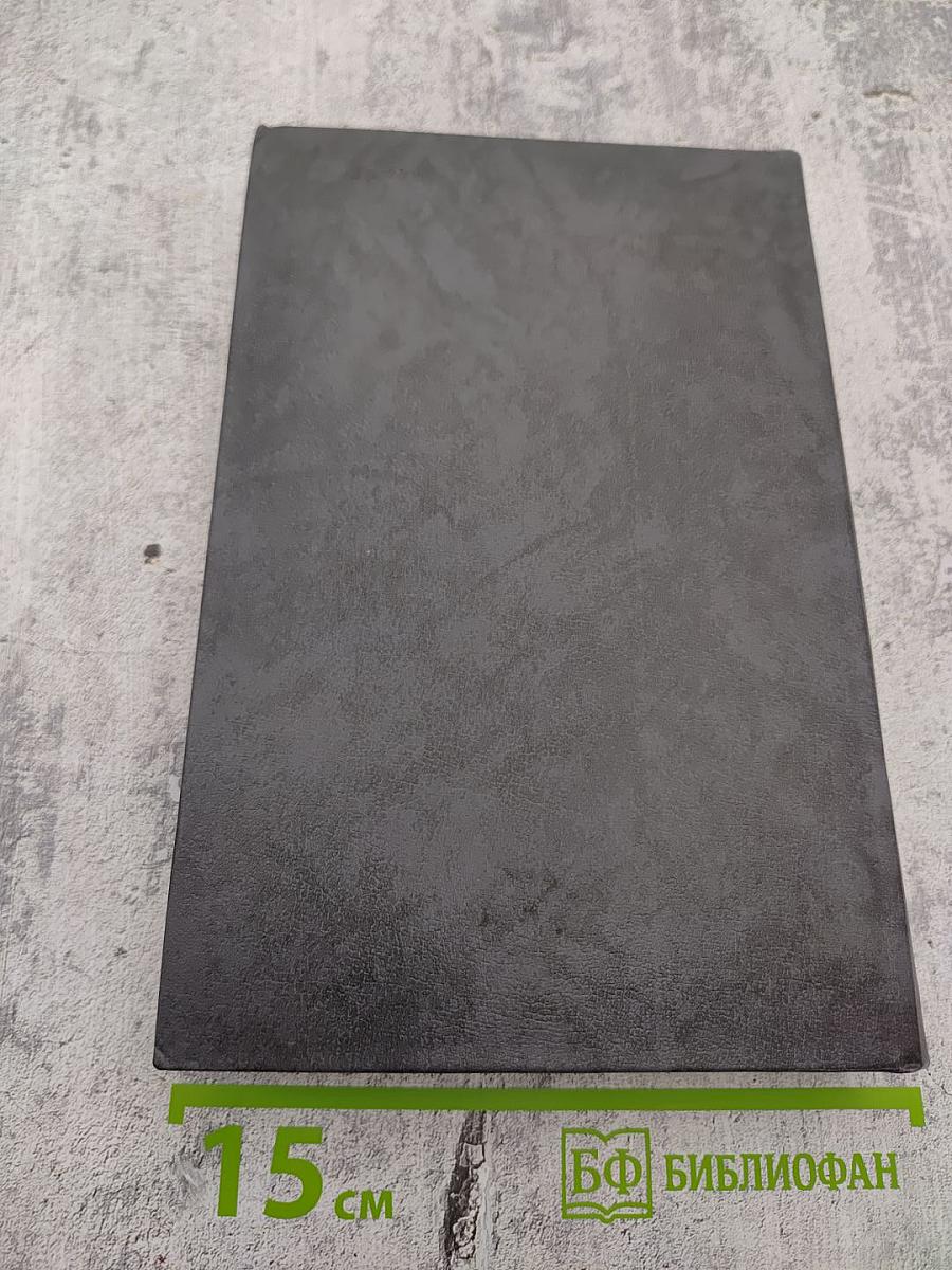 К ОГНЮ ВСЕЛЕНСКОМУ. Русская советская поэзия 1920-1930 годов