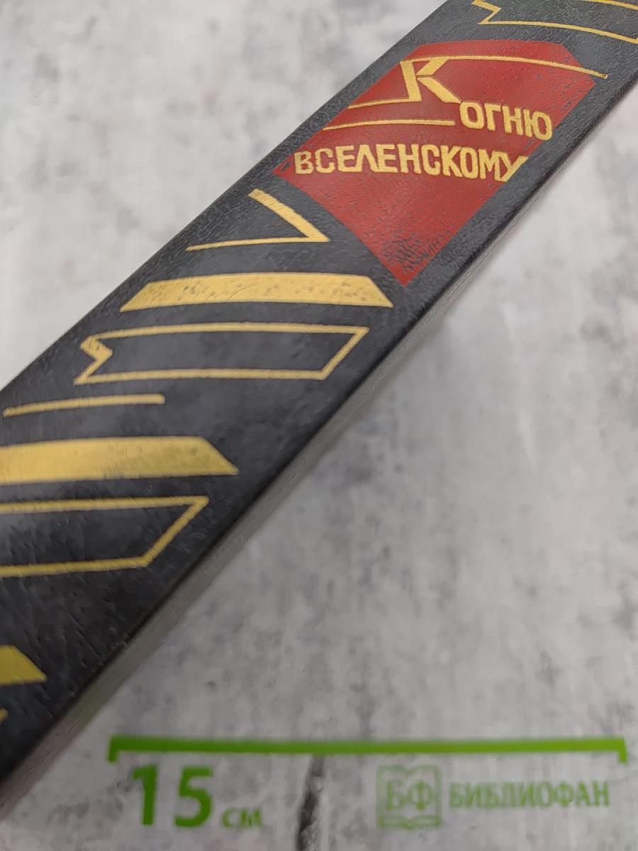 К ОГНЮ ВСЕЛЕНСКОМУ. Русская советская поэзия 1920-1930 годов