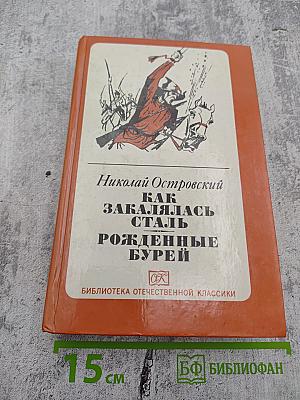 Как закалялась сталь. Рожденные бурей