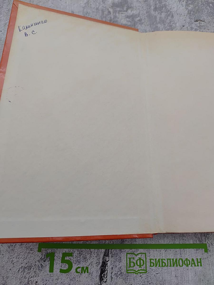 Как закалялась сталь. Рожденные бурей