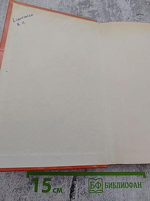 Как закалялась сталь. Рожденные бурей