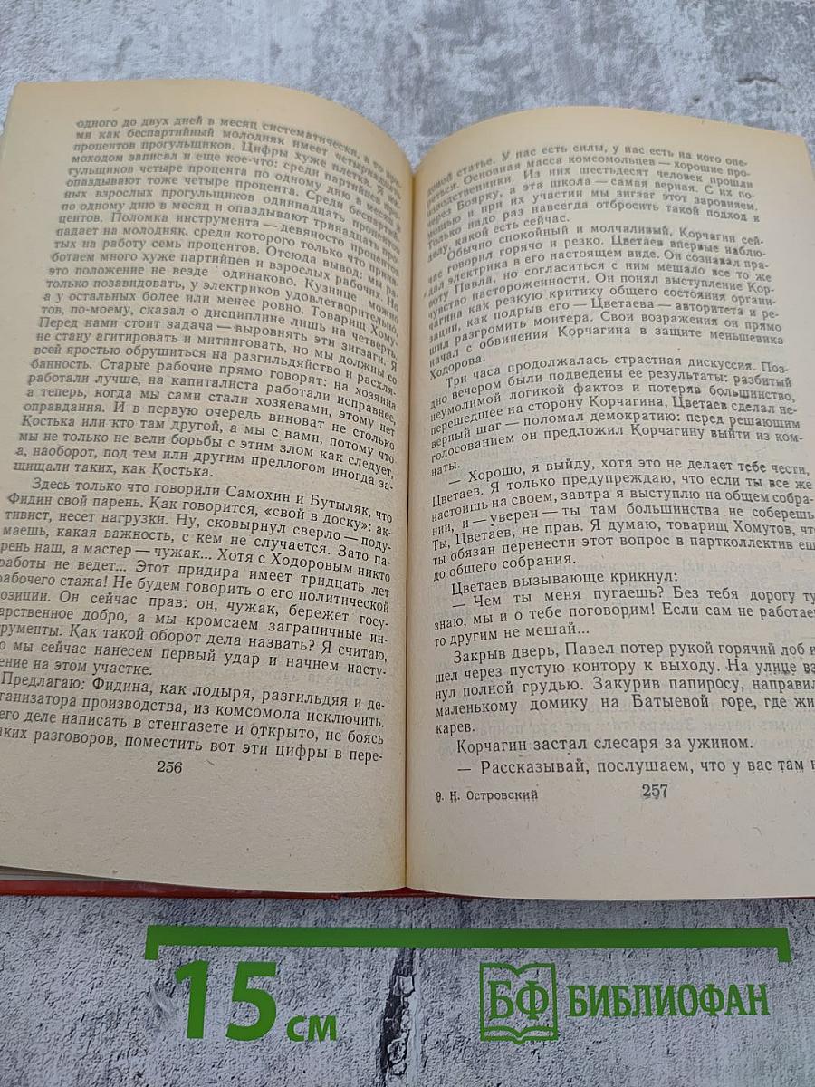Как закалялась сталь. Рожденные бурей