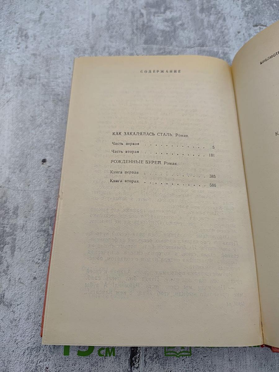 Как закалялась сталь. Рожденные бурей