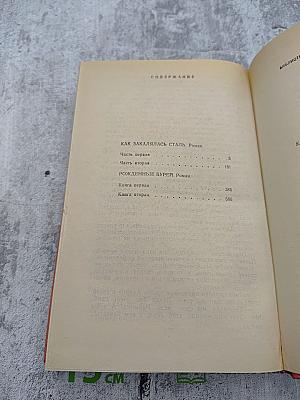 Как закалялась сталь. Рожденные бурей