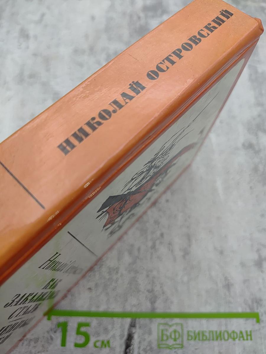 Как закалялась сталь. Рожденные бурей