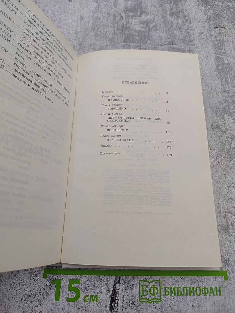 Славный год войны народной