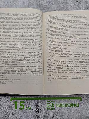 Адьютант его превосходительства