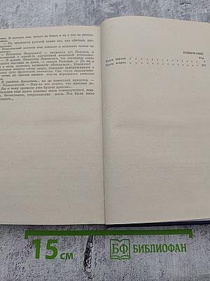 Адьютант его превосходительства