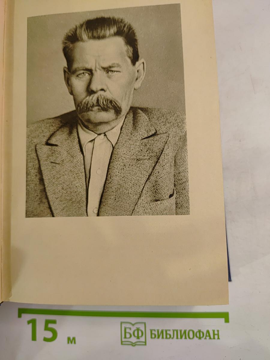 М. Горький в воспоминаниях современников