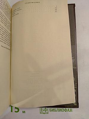 Братина (Триптих-романы)