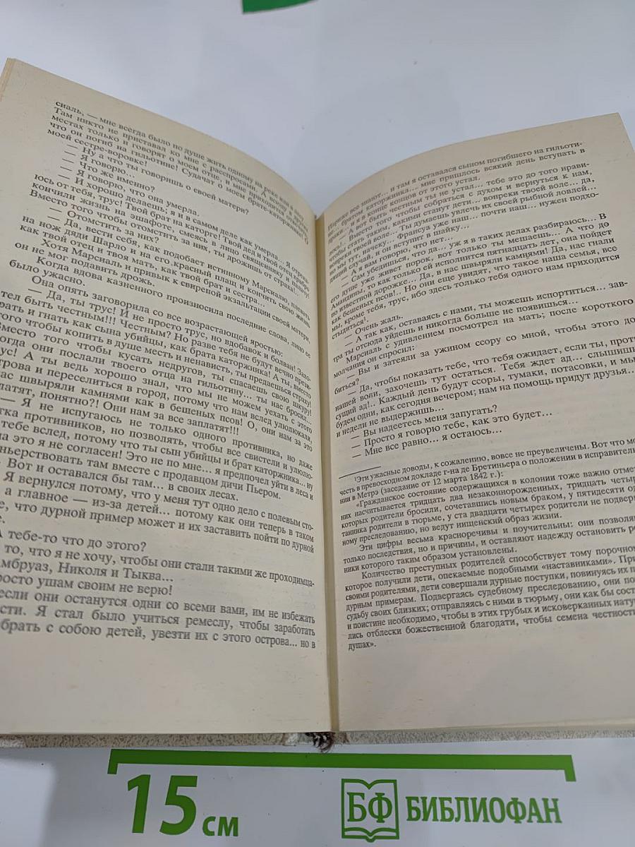 Парижские тайны. Том II