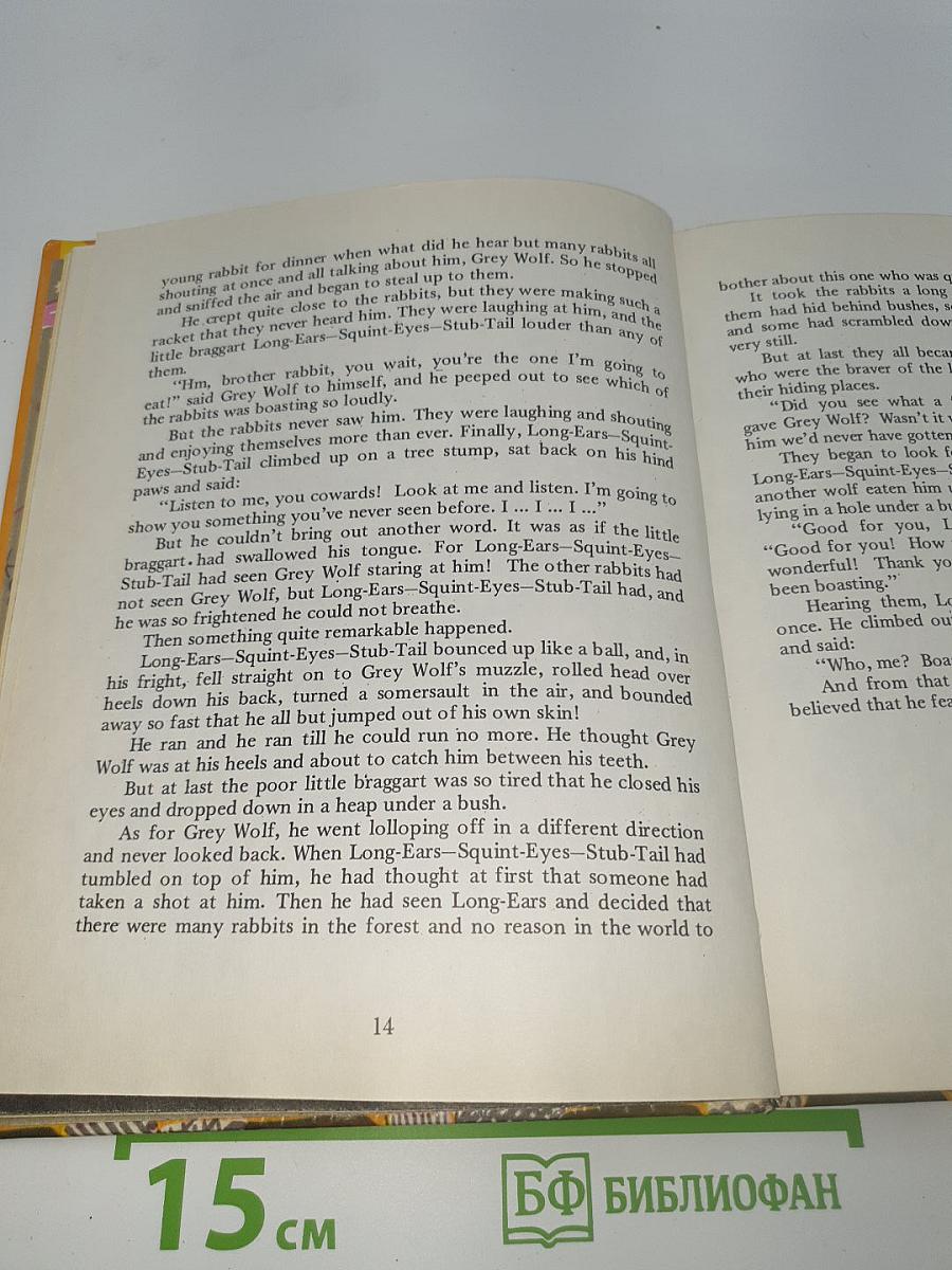 Tales for Alyonushka