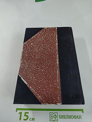 Хитроумный идальго Дон Кихот Ламанчский. Том II