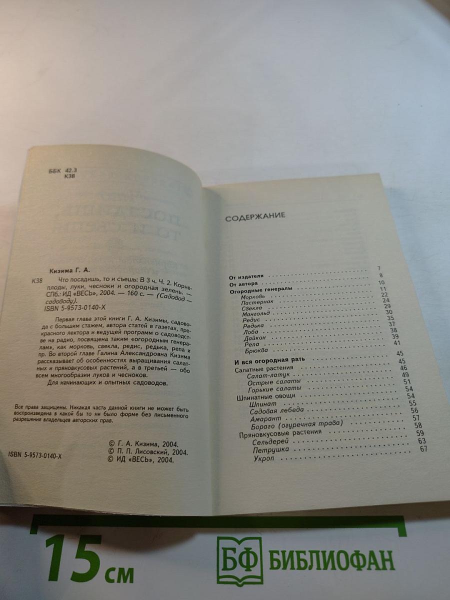 Что посадишь, то и съешь. Корнеплоды, луки, чесноки и огородная зелень