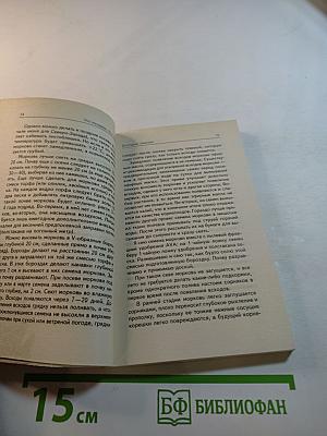 Что посадишь, то и съешь. Корнеплоды, луки, чесноки и огородная зелень