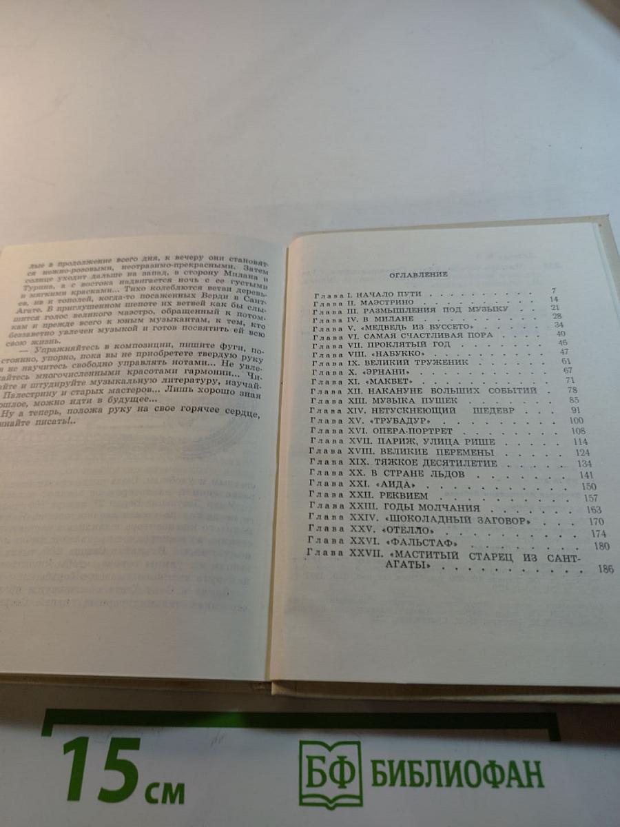Маэстро борьбы. Верди. Страницы жизни