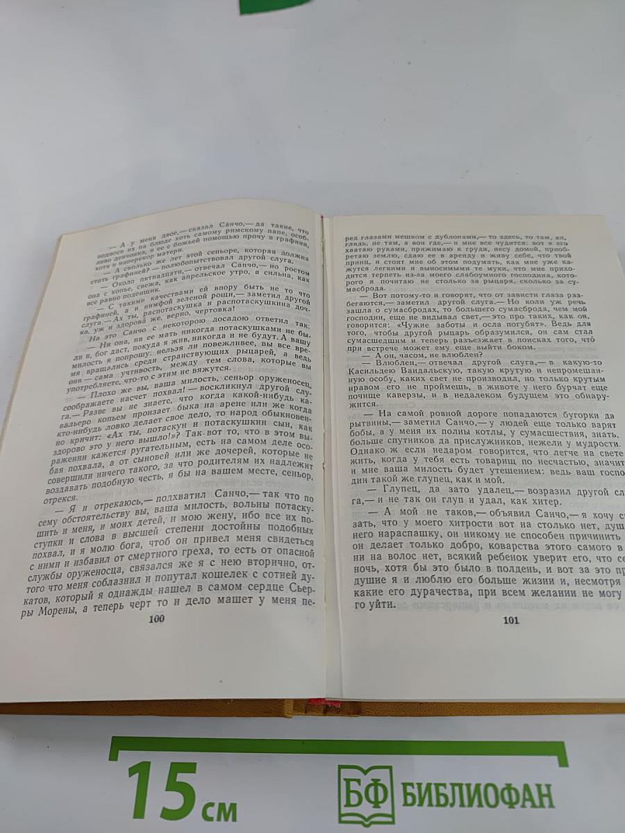 Хитроумный идальго Дон Кихот Ламанчский. Часть 2