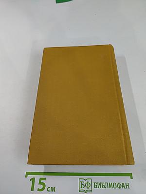 Хитроумный идальго Дон Кихот Ламанчский. Часть 2