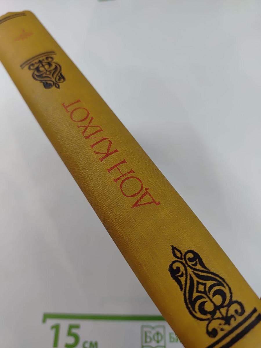 Хитроумный идальго Дон Кихот Ламанчский. Часть 2