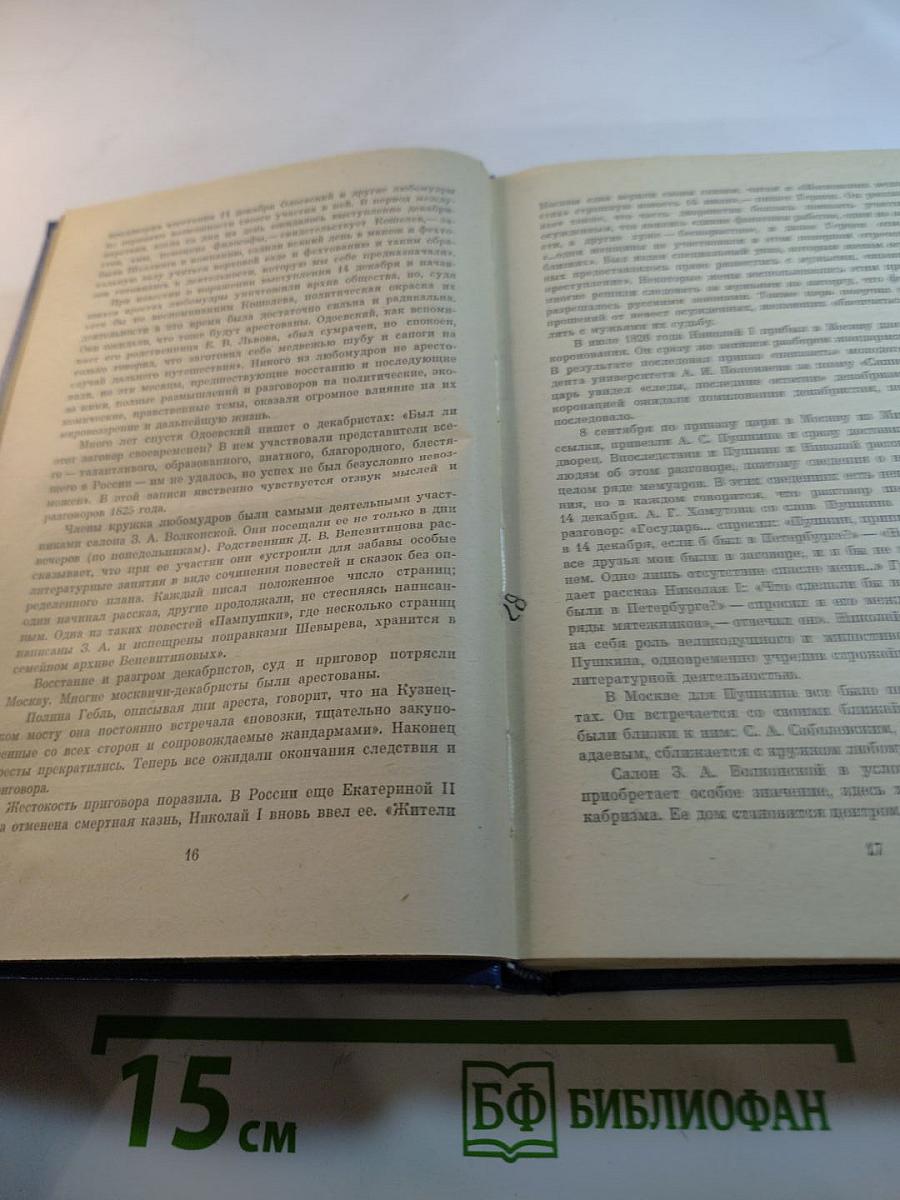 В царстве муз: Московский литературный салон Зинаиды Волконской 1824-1829 гг.