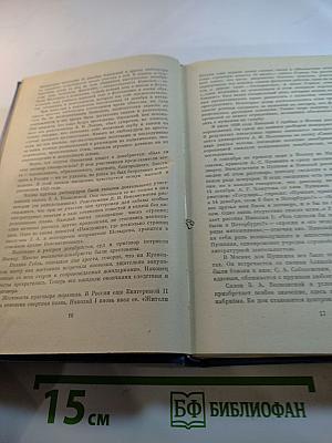 В царстве муз: Московский литературный салон Зинаиды Волконской 1824-1829 гг.