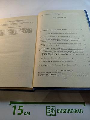 В царстве муз: Московский литературный салон Зинаиды Волконской 1824-1829 гг.