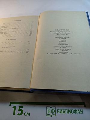 В царстве муз: Московский литературный салон Зинаиды Волконской 1824-1829 гг.