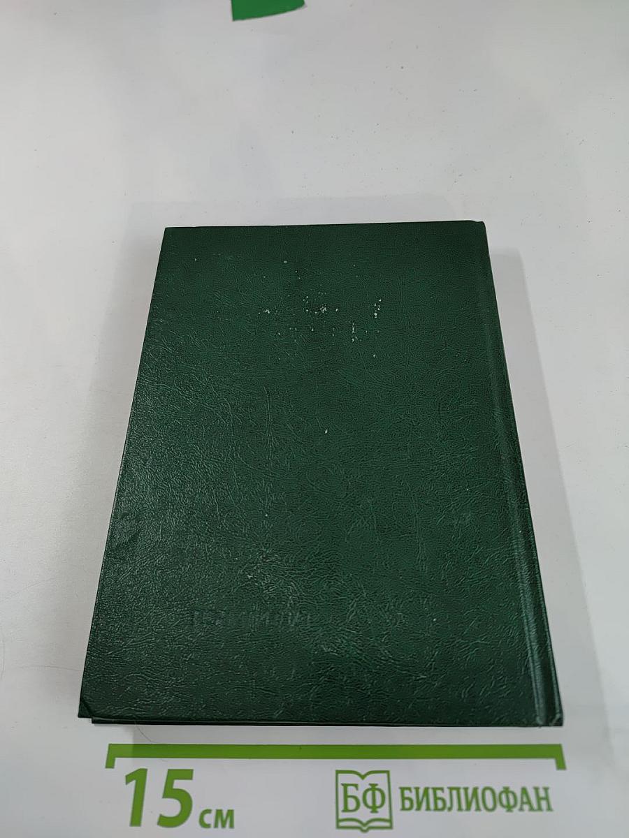 Фронт в тылу Вермахта