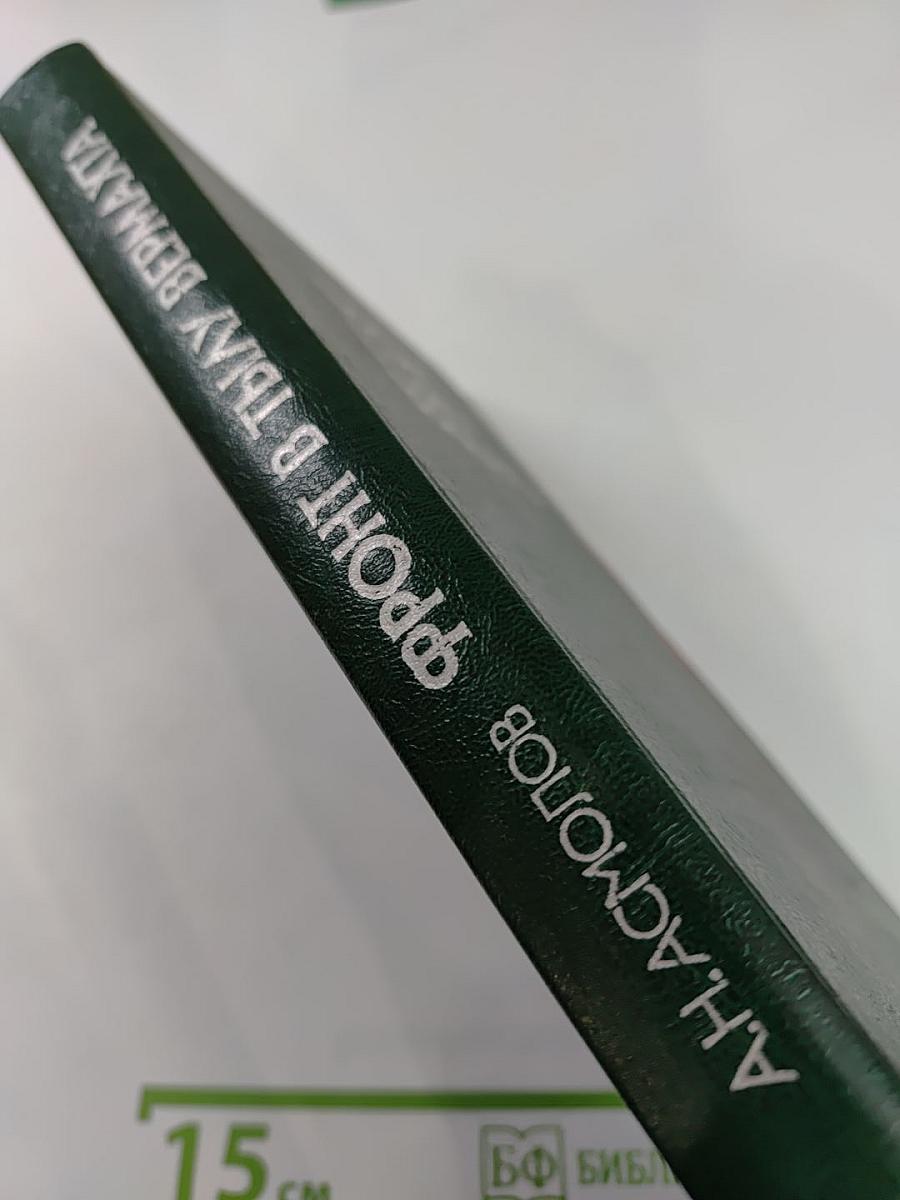 Фронт в тылу Вермахта