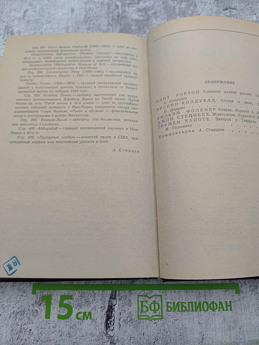 Американская повесть. Книга вторая