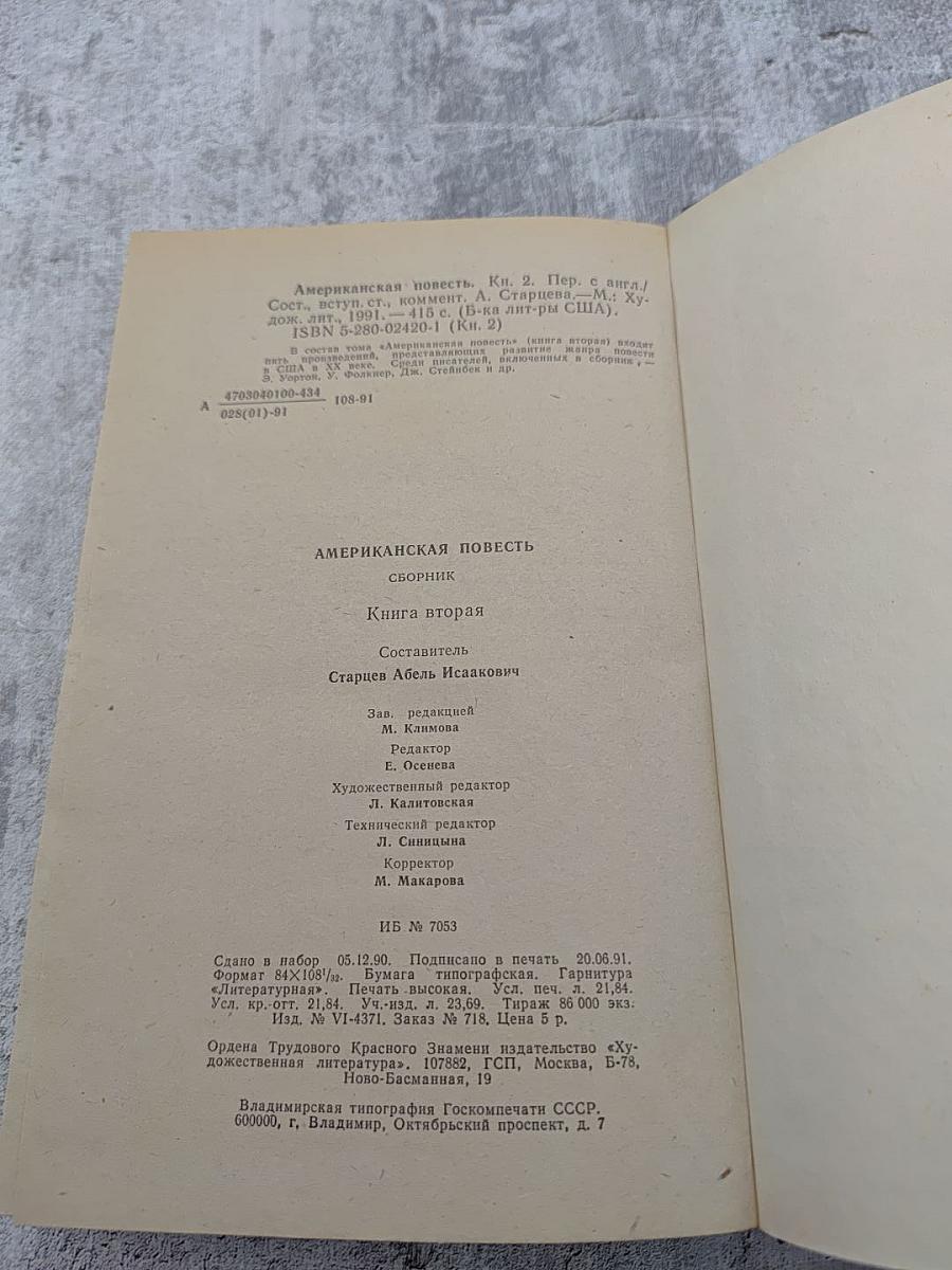 Американская повесть. Книга вторая