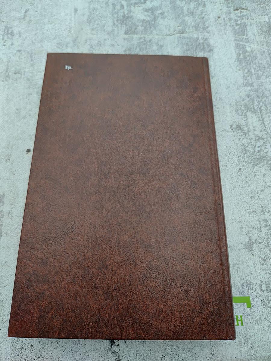 Американская повесть. Книга вторая