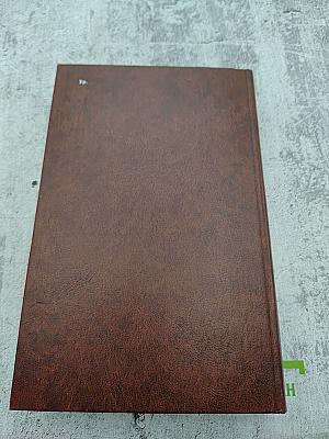 Американская повесть. Книга вторая