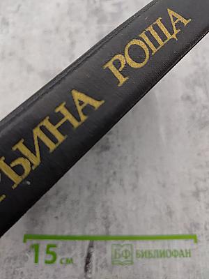 Марьина роща: Московская романтическая повесть