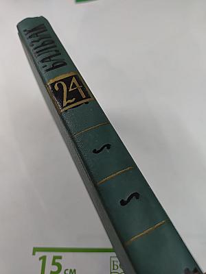 Литературно-критические статьи (Том 24)